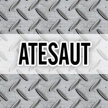 Logo Atesaut